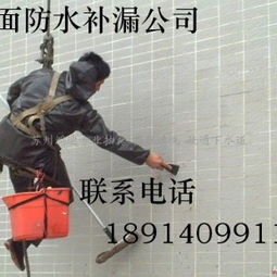 專業護航，安居無憂——蘇州房屋防水補漏維修服務指南