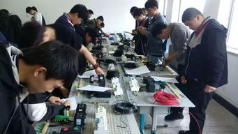 匠心筑夢利其器，破繭成蝶久致遠 營口市電工職業資格鑒定考試助力技能人才成長